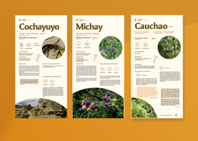 Alimentos Prehispánicos y Tradicionales de Chiloé