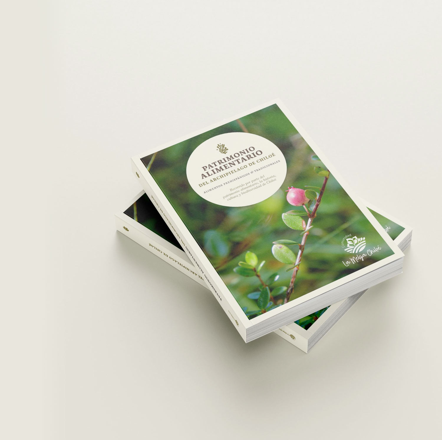 mockup-2-libro-patri